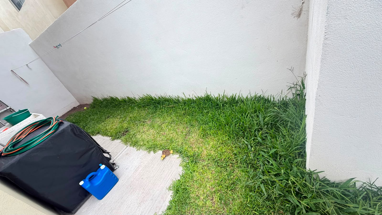 Trabajo mostrado en la galería